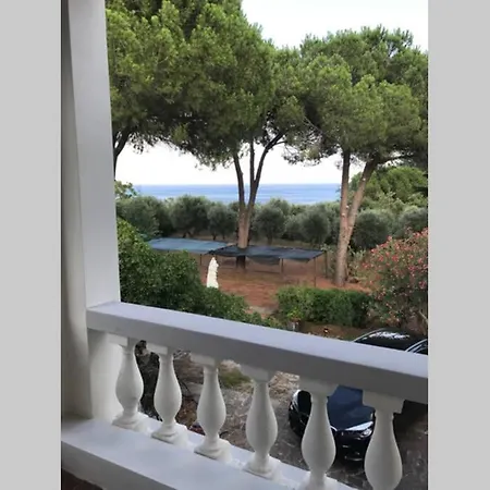 Isola D'elba - Portello - La Casina Bis - Quarzo-pirite 里约滨海