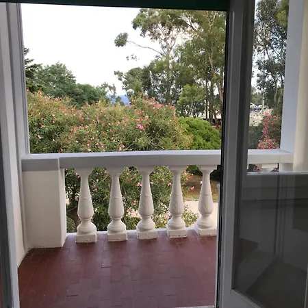 Isola D'elba - Portello - La Casina Bis - Quarzo-pirite 里约滨海