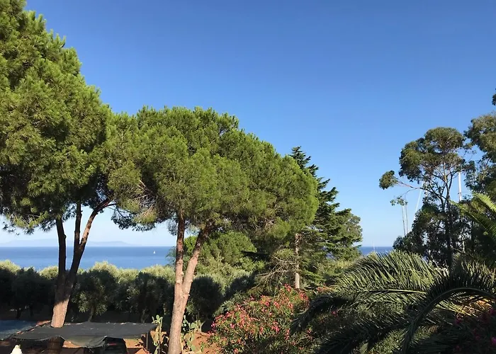 Isola D'elba - Portello - La Casina Bis - Quarzo-pirite *