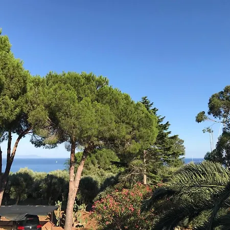 Isola D'elba - Portello - La Casina Bis - Quarzo-pirite *