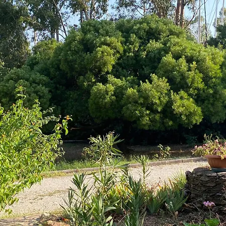 Appartement Isola D'elba - Portello - La Casina Bis - Quarzo-pirite Rio Marina