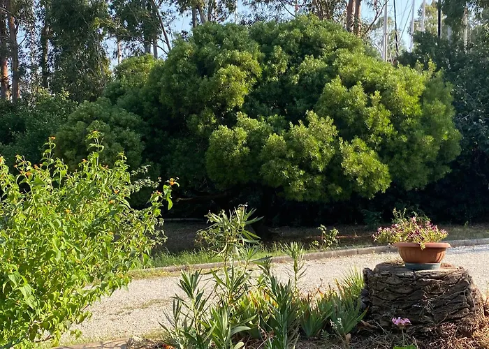 Appartement Isola D'elba - Portello - La Casina Bis - Quarzo-pirite Rio Marina